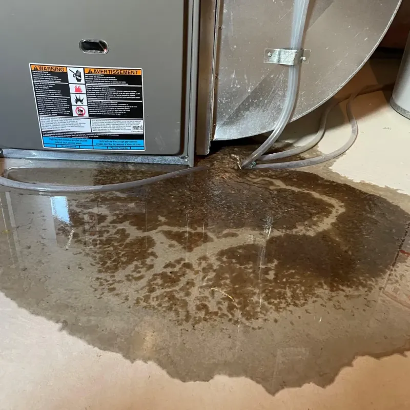 Appliance Leak Cleanup in Lineville, AL